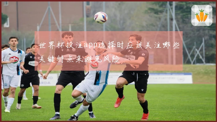 世界杯投注app选择时应该关注哪些关键特点来避免风险