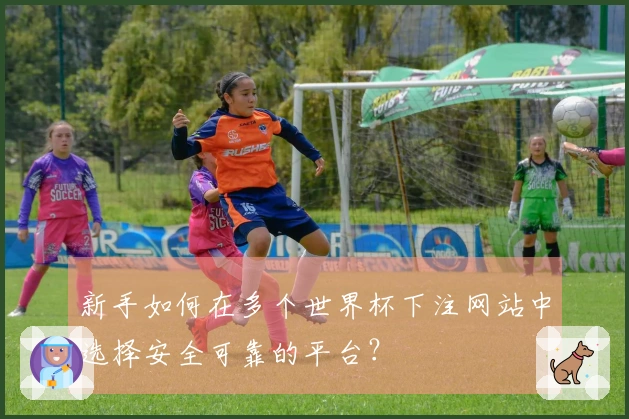 新手如何在多个世界杯下注网站中选择安全可靠的平台?