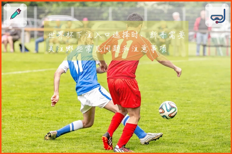 世界杯下注入口选择时，新手需要关注哪些常见问题和注意事项