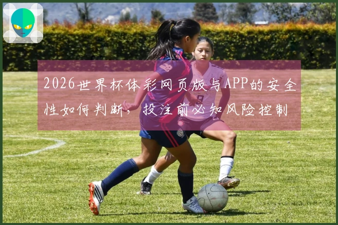 2026世界杯体彩网页版与APP的安全性如何判断，投注前必知风险控制要点