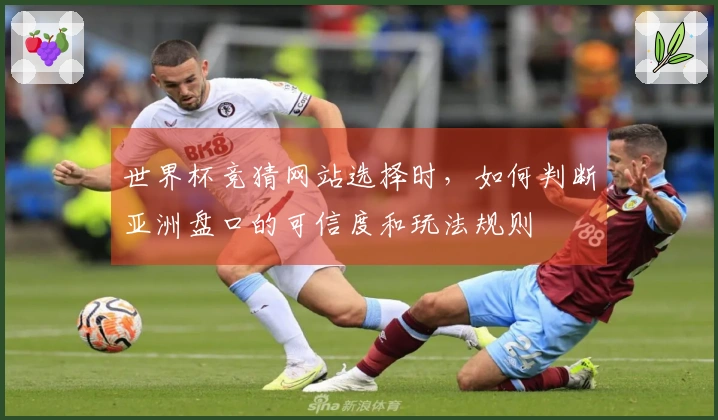 世界杯竞猜网站选择时，如何判断亚洲盘口的可信度和玩法规则