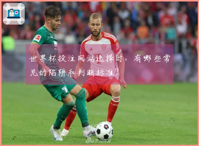 世界杯投注网站选择时，有哪些常见的陷阱和判断标准？