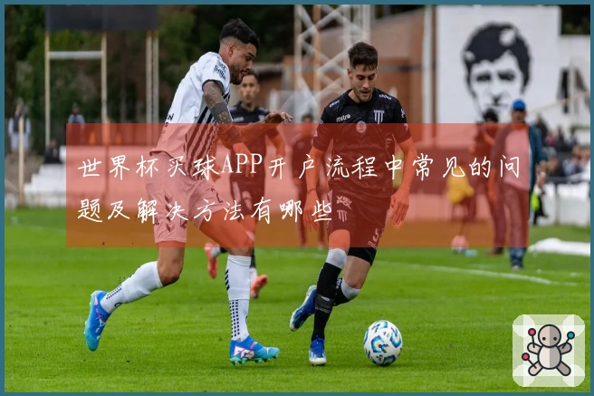 世界杯买球APP开户流程中常见的问题及解决方法有哪些