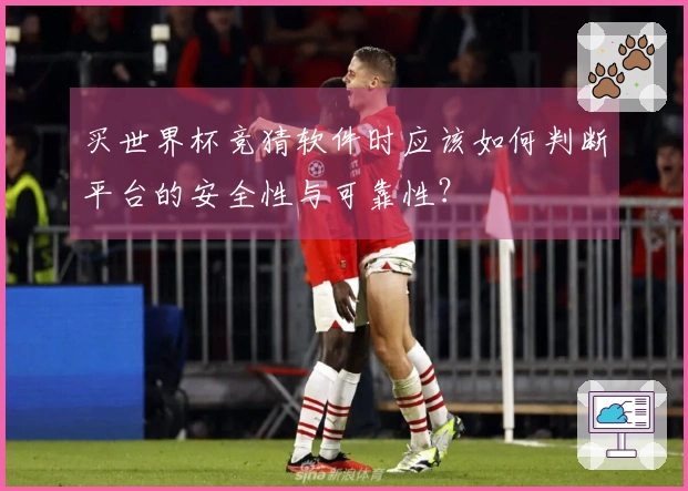 买世界杯竞猜软件时应该如何判断平台的安全性与可靠性？