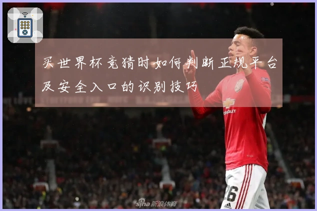 买世界杯竞猜时如何判断正规平台及安全入口的识别技巧