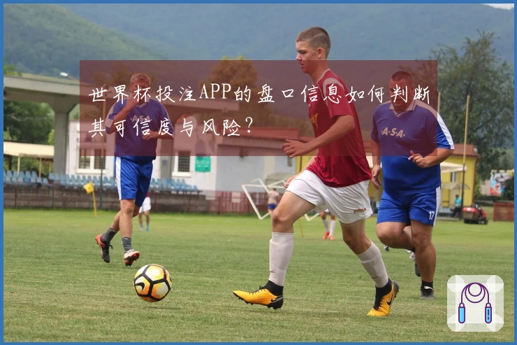 世界杯投注APP的盘口信息如何判断其可信度与风险？
