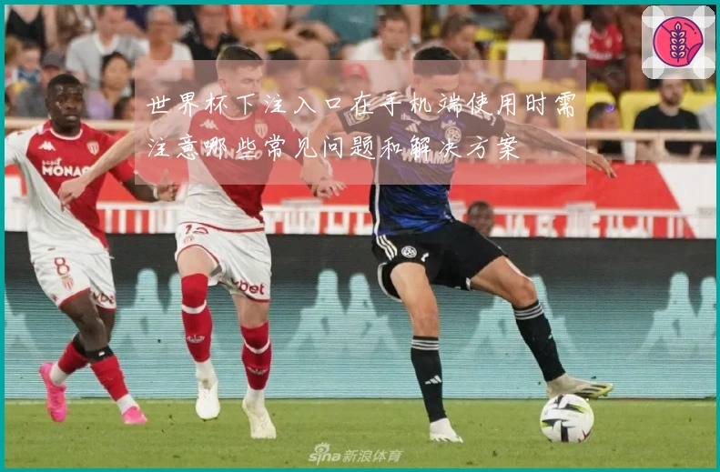 世界杯下注入口在手机端使用时需注意哪些常见问题和解决方案