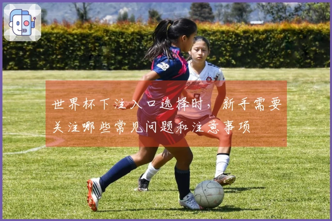 世界杯下注入口选择时，新手需要关注哪些常见问题和注意事项
