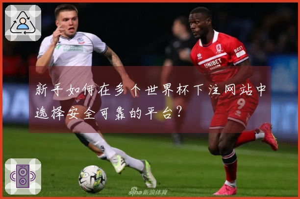 新手如何在多个世界杯下注网站中选择安全可靠的平台？