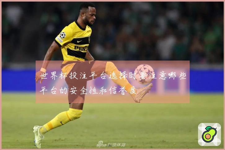 世界杯投注平台选择时要注意哪些平台的安全性和信誉度
