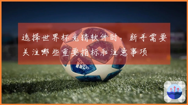选择世界杯竞猜软件时，新手需要关注哪些重要指标和注意事项