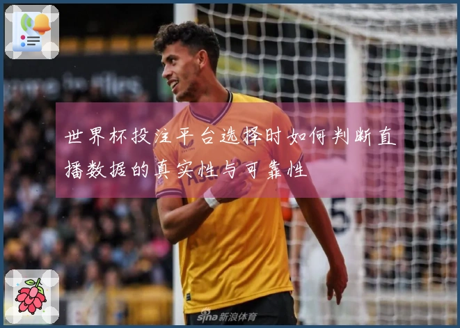 世界杯投注平台选择时如何判断直播数据的真实性与可靠性