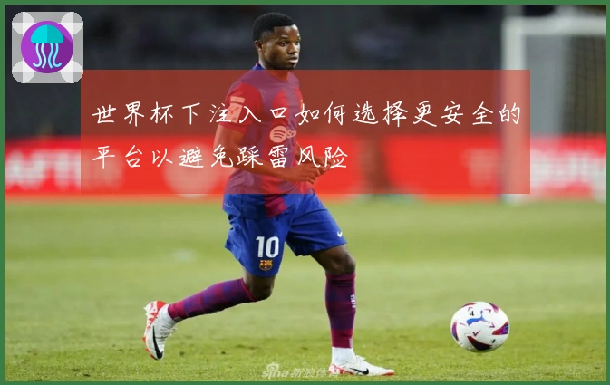 世界杯下注入口如何选择更安全的平台以避免踩雷风险