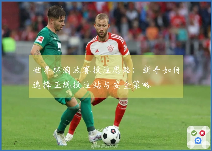 世界杯淘汰赛投注思路：新手如何选择正规投注站与安全策略