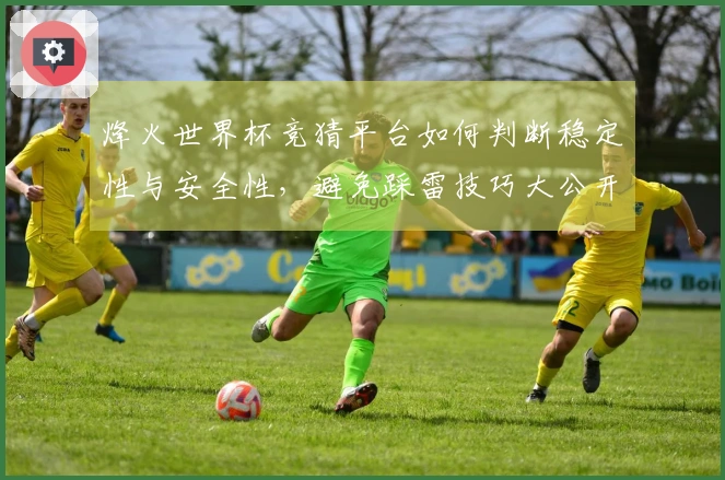 烽火世界杯竞猜平台如何判断稳定性与安全性，避免踩雷技巧大公开