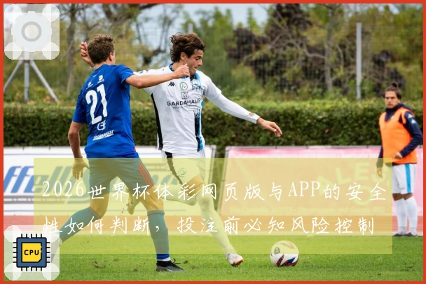 2026世界杯体彩网页版与APP的安全性如何判断，投注前必知风险控制要点