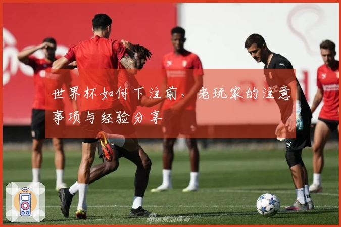 世界杯如何下注前，老玩家的注意事项与经验分享