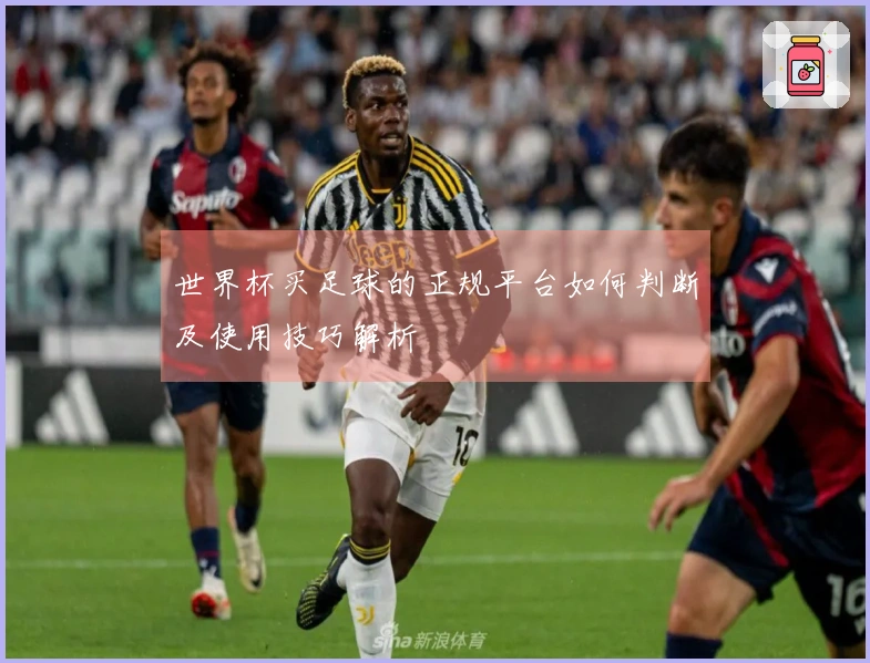 世界杯买足球的正规平台如何判断及使用技巧解析