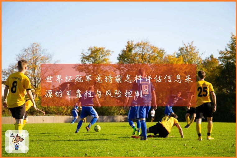 世界杯冠军竞猜前怎样评估信息来源的可靠性与风险控制？