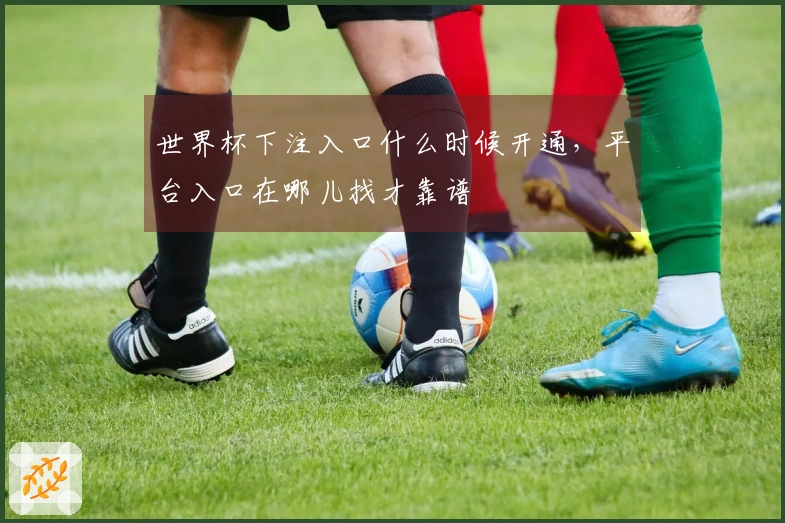世界杯下注入口什么时候开通，平台入口在哪儿找才靠谱
