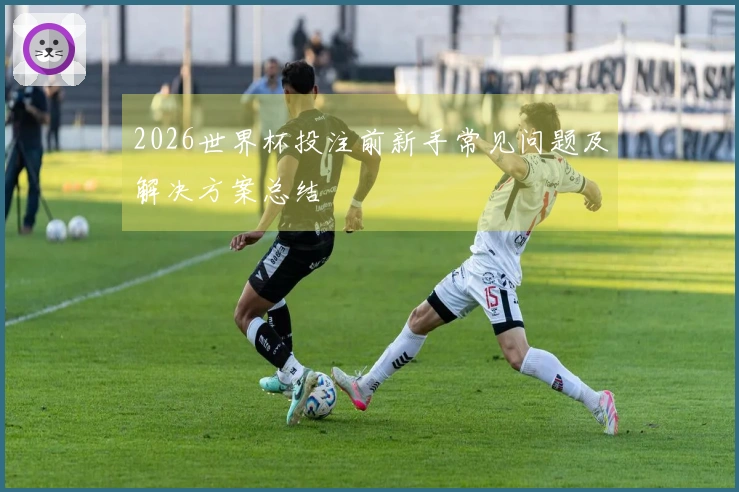 2026世界杯投注前新手常见问题及解决方案总结