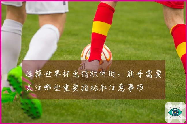 选择世界杯竞猜软件时，新手需要关注哪些重要指标和注意事项