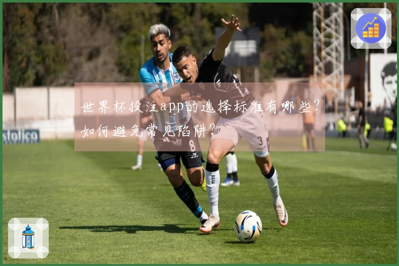 世界杯投注app的选择标准有哪些？如何避免常见陷阱？