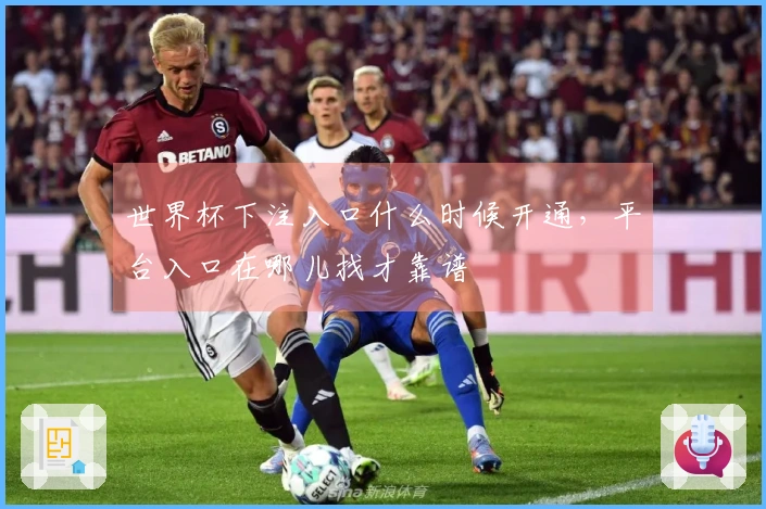 世界杯下注入口什么时候开通，平台入口在哪儿找才靠谱