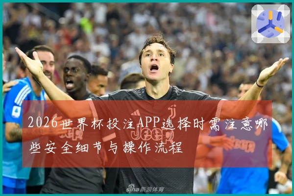 2026世界杯投注APP选择时需注意哪些安全细节与操作流程