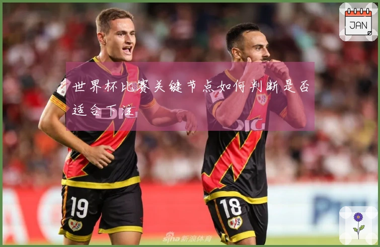 世界杯比赛关键节点如何判断是否适合下注